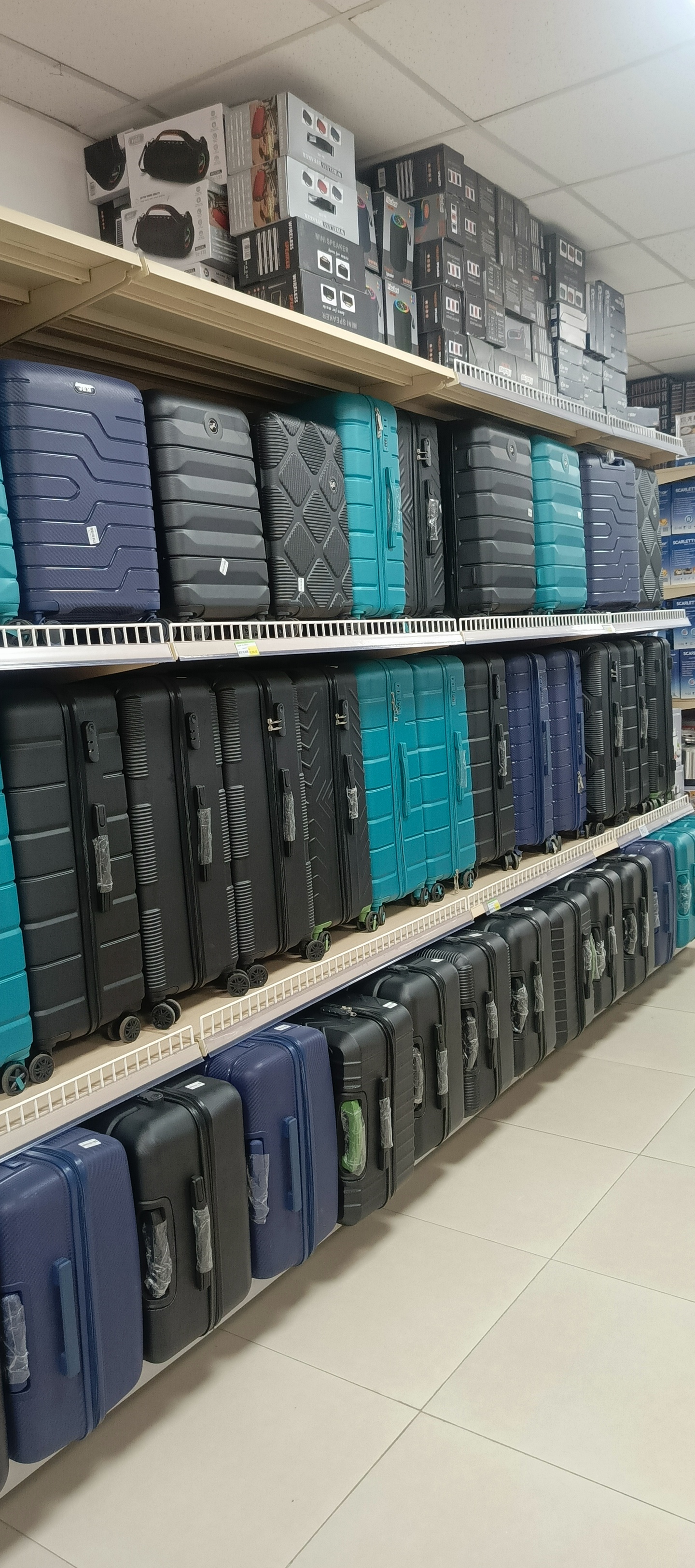 Handbags and luggage